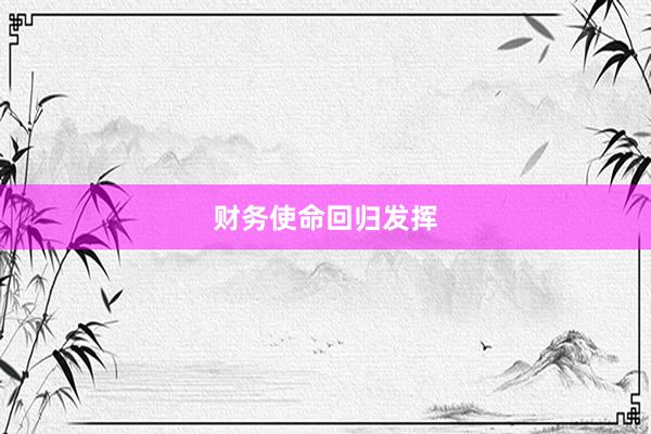 财务使命回归发挥